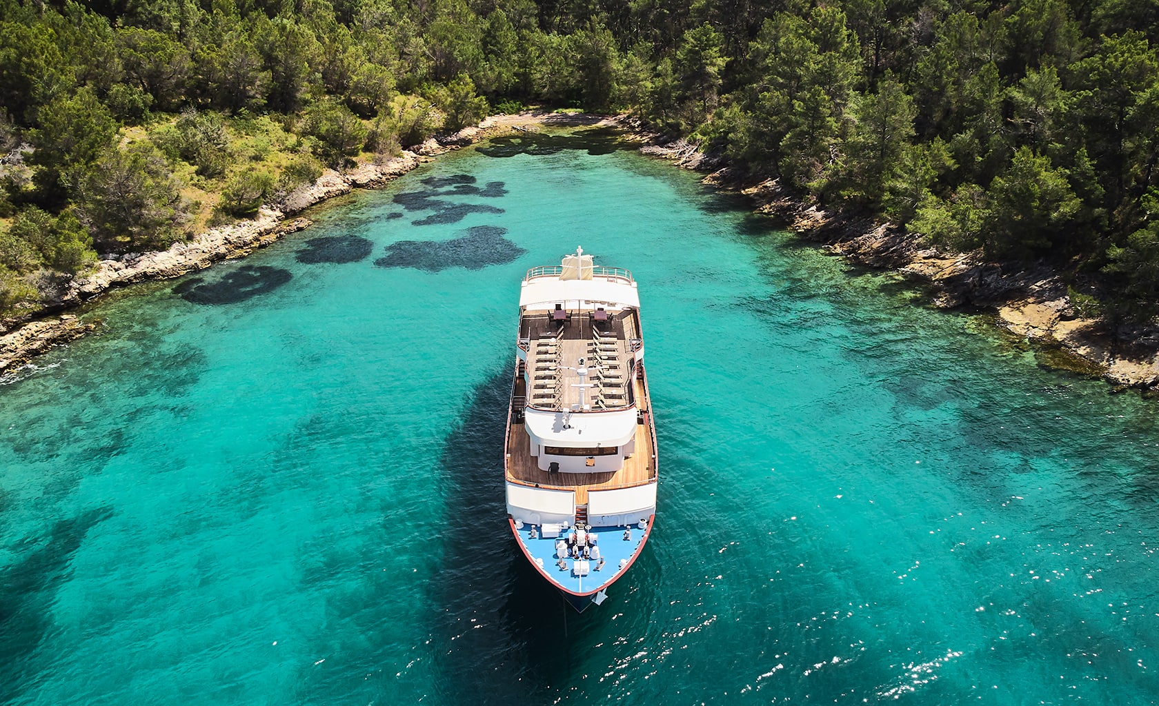 LUPUS MARE Anchored