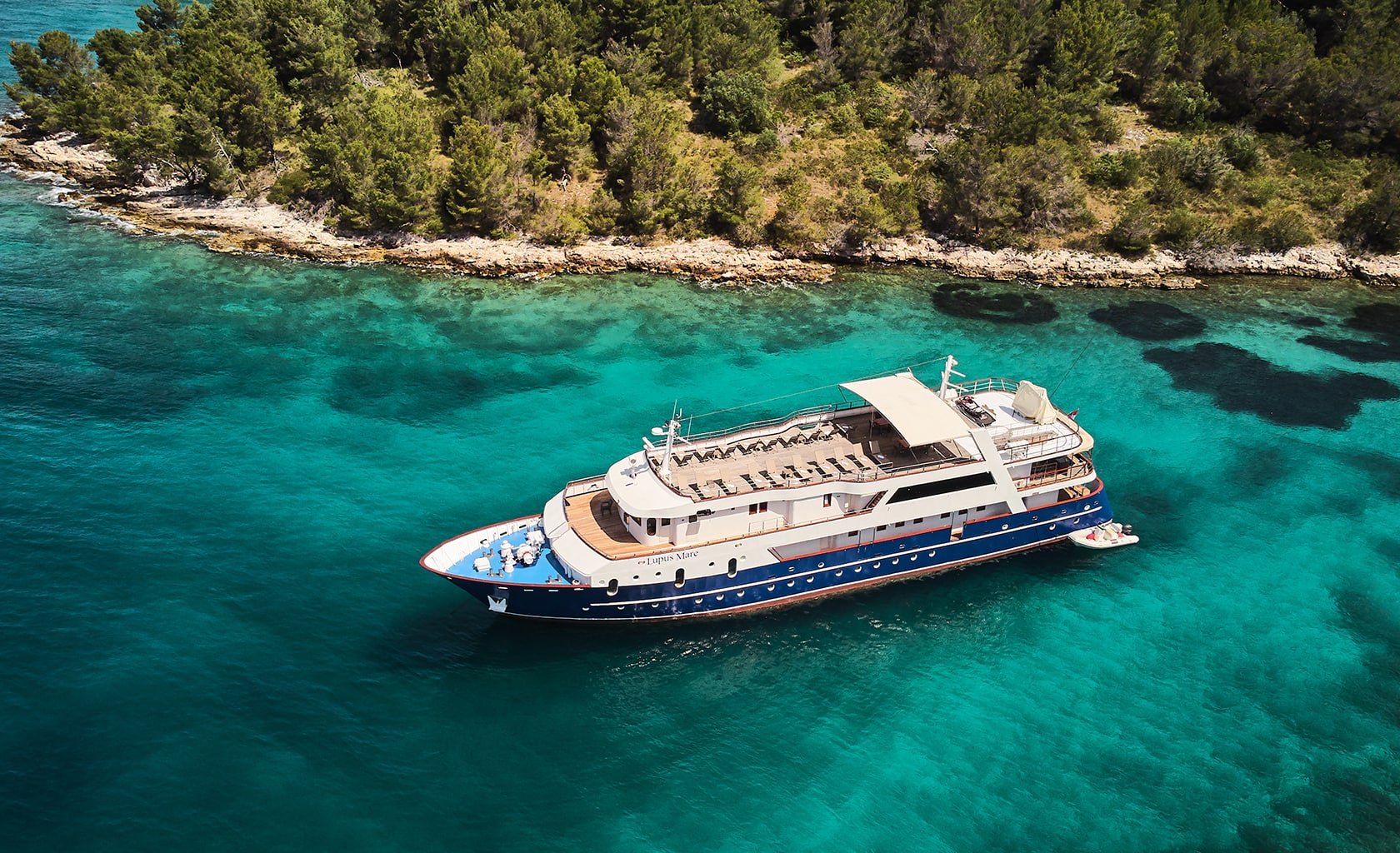 LUPUS MARE Anchored