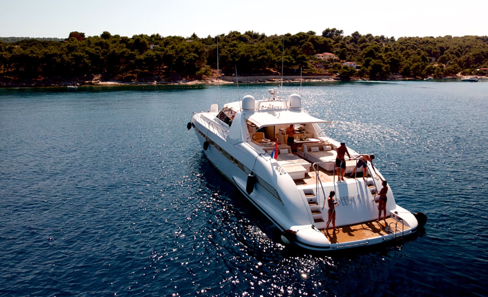 SPEEDY T Anchored