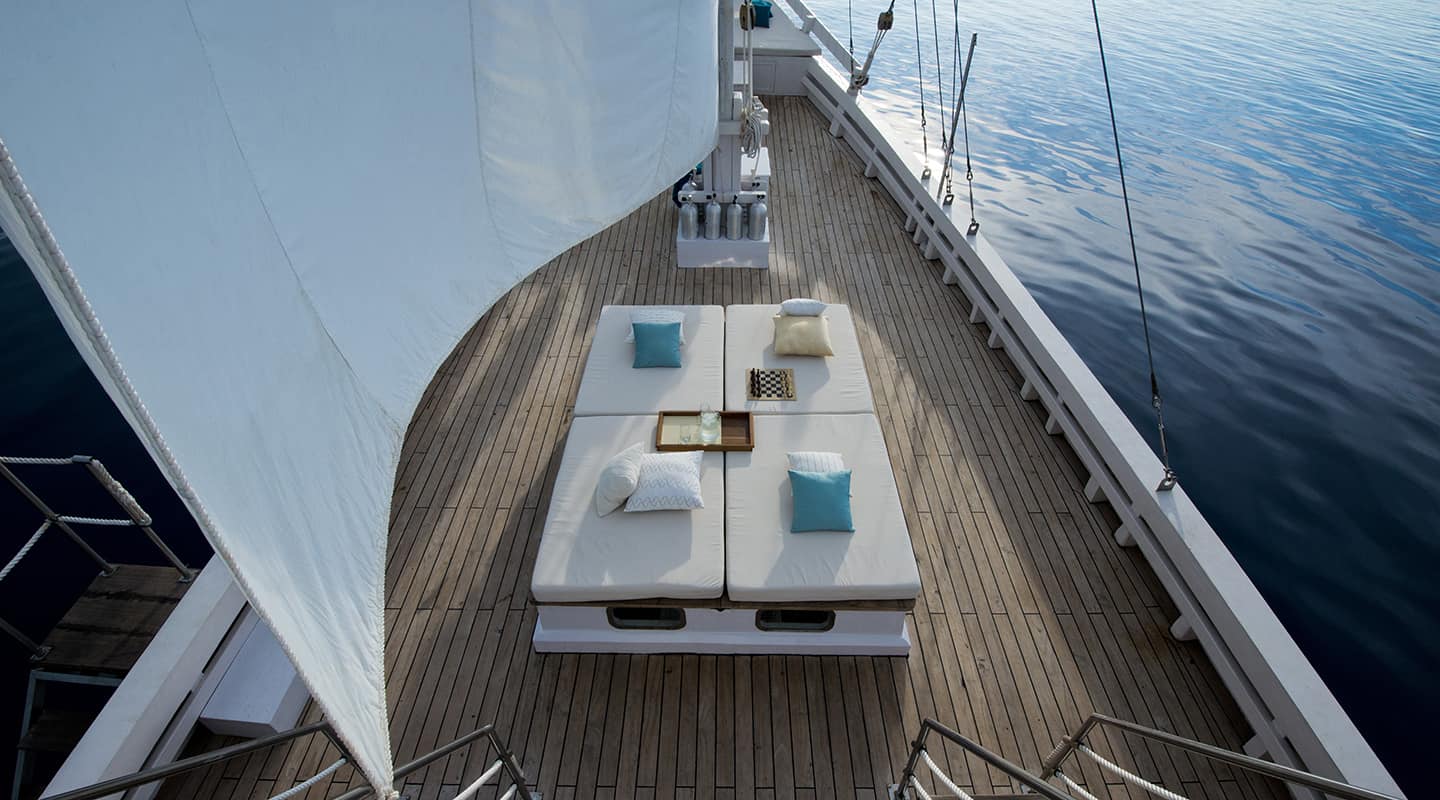 ALEXA Bow deck