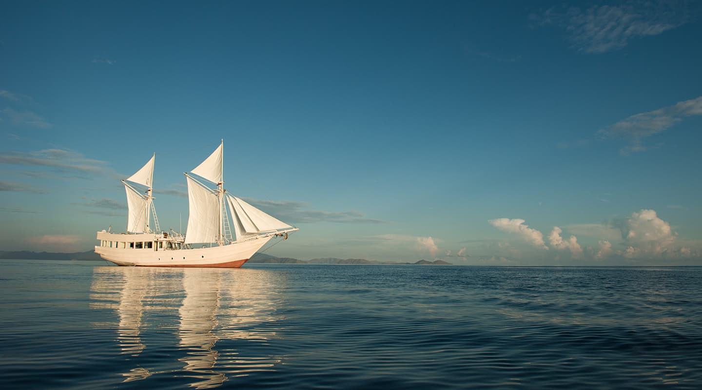 ALEXA Sailing
