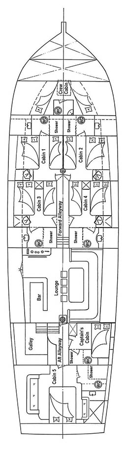 ANDI STAR Layout