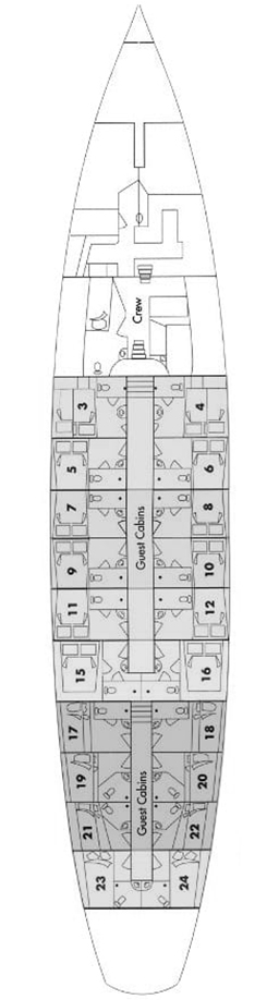 ARABELLA Layout