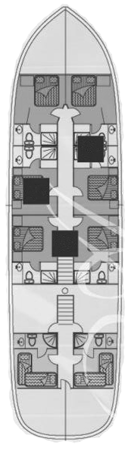 AURUM Layout