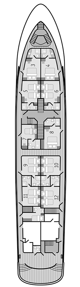 BELLA Layout