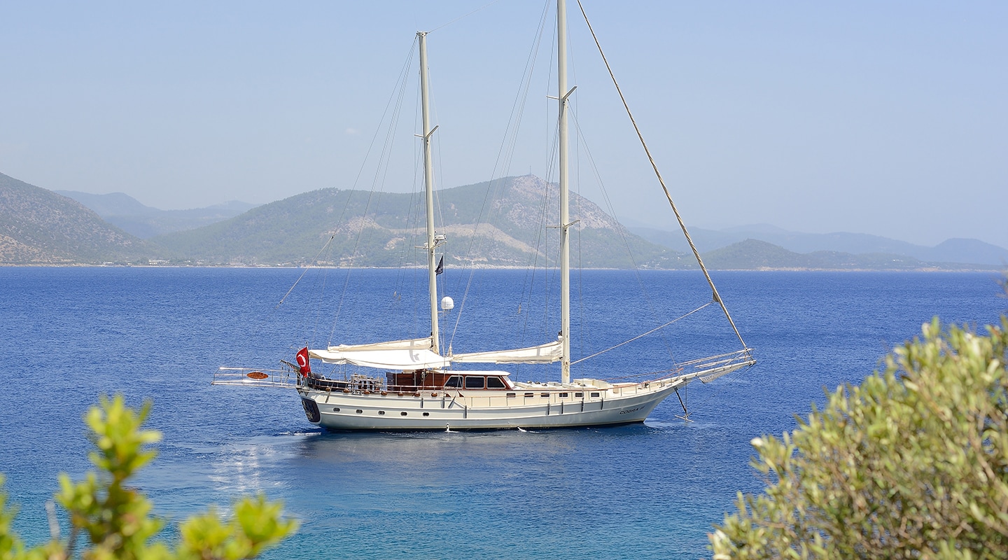 COBRA III Anchored
