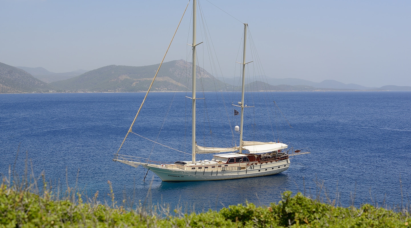 COBRA III Anchored