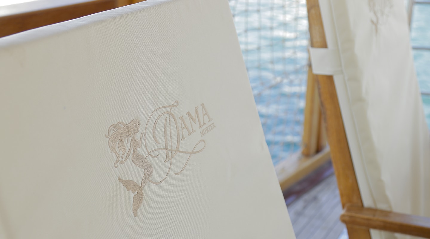 DAMA Details