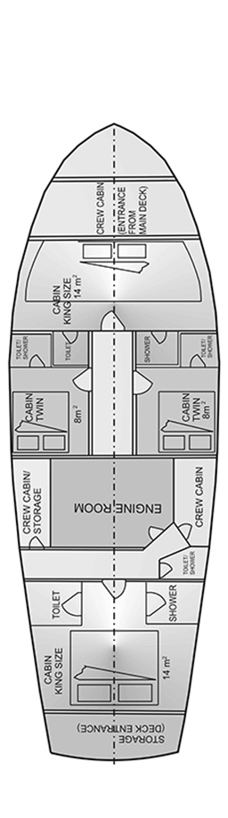 DAMA Layout