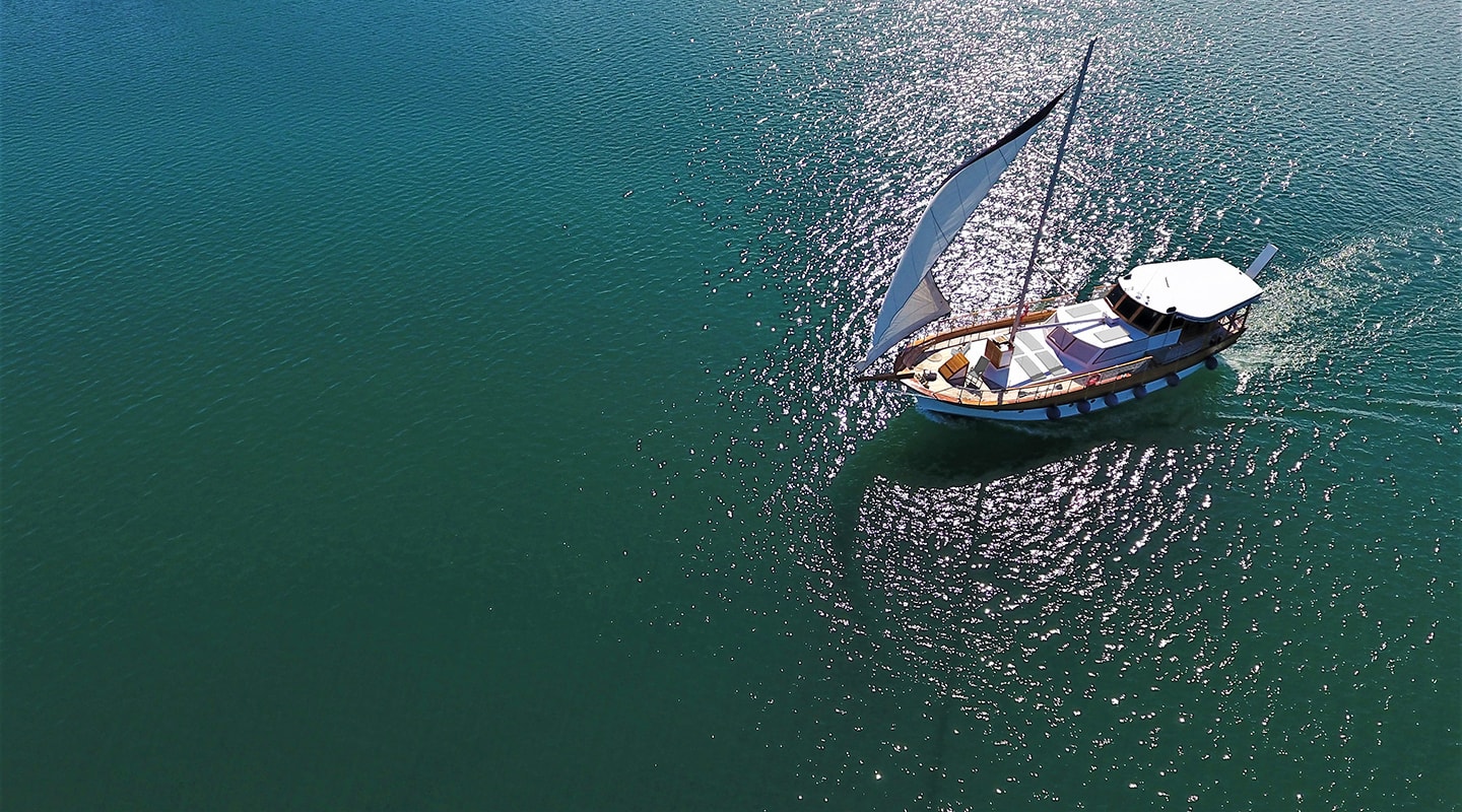 DAMA Sailing