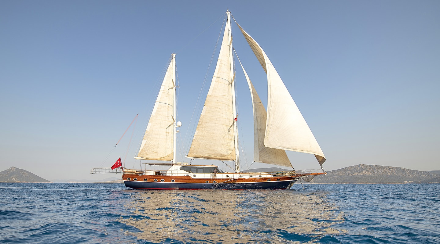 DRAGON FLY Sailing