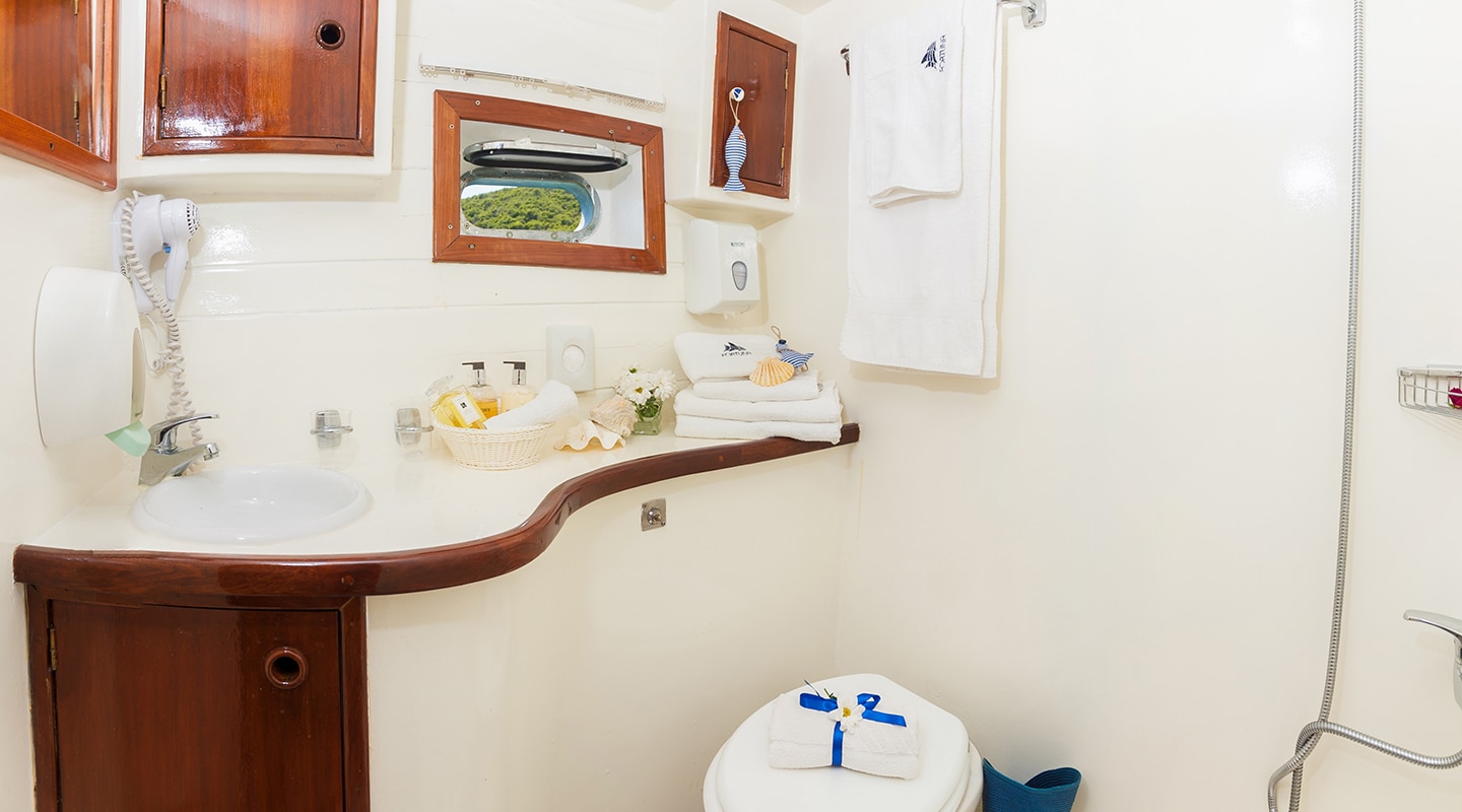 FORTUNA Double cabin