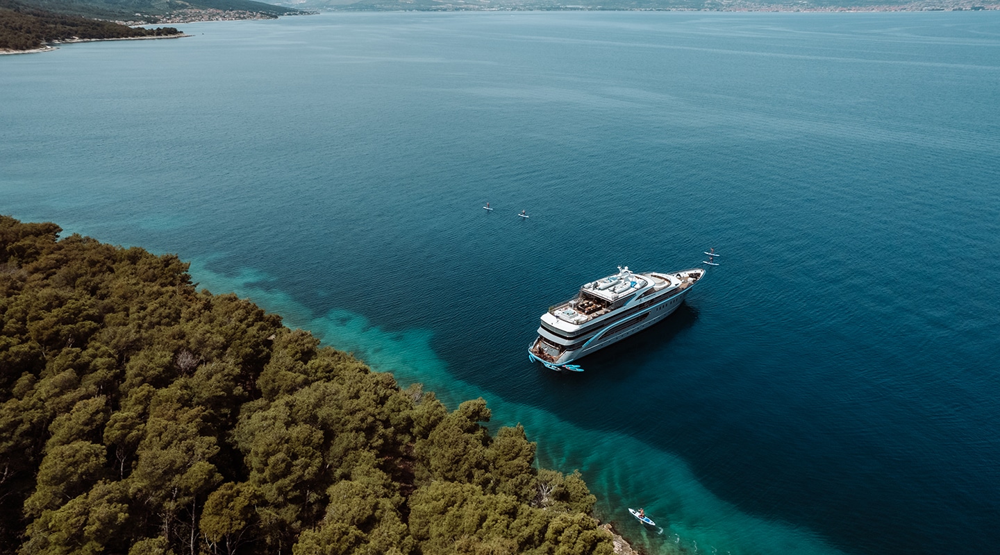 FREEDOM Anchored