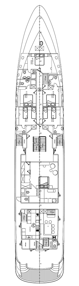 FREEDOM Layout