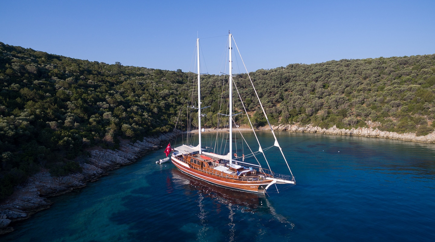 GRACE Anchored