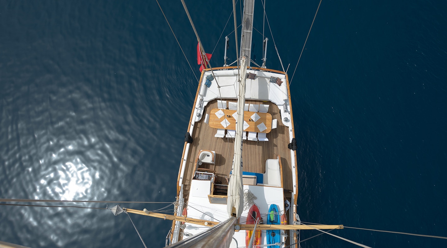LA REINE From the top