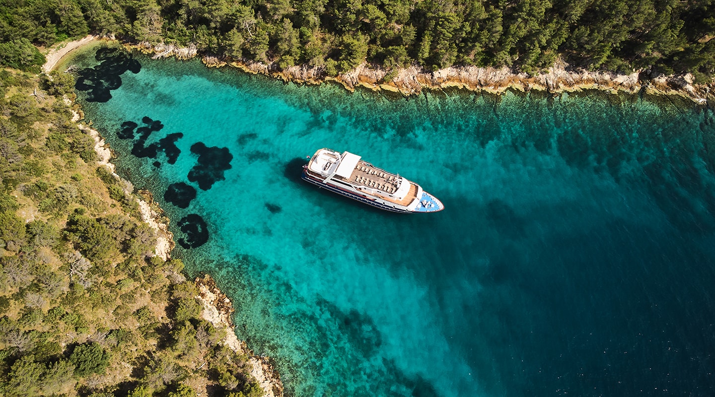 LUPUS MARE Anchored