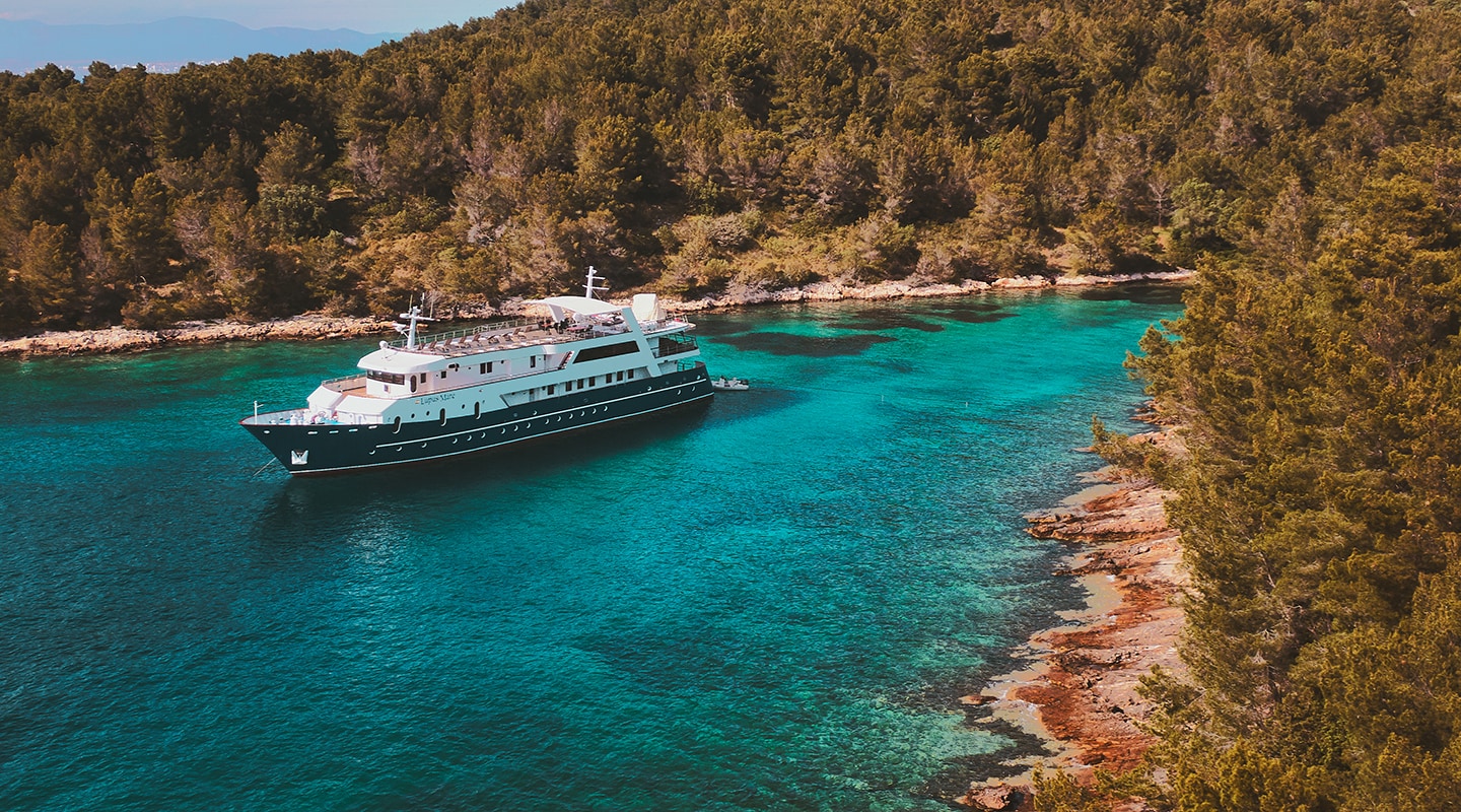 LUPUS MARE Anchored