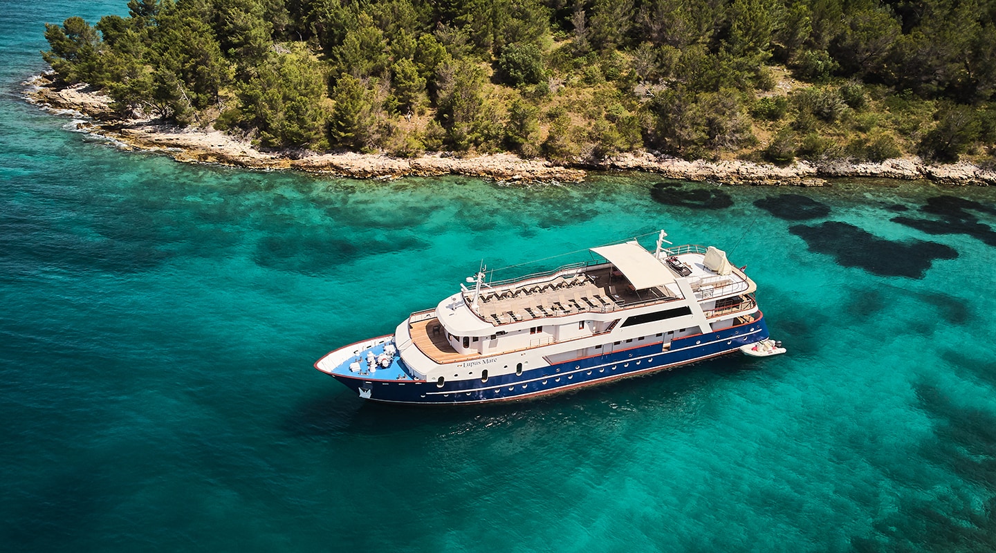 LUPUS MARE Anchored