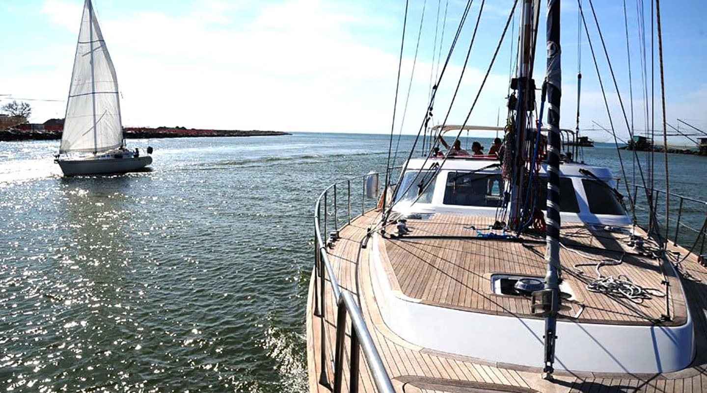 MYOSOTIS Bow deck