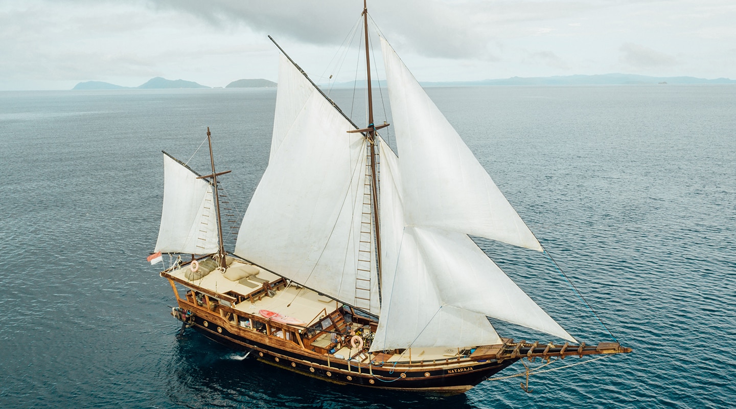 NATARAJA Sailing