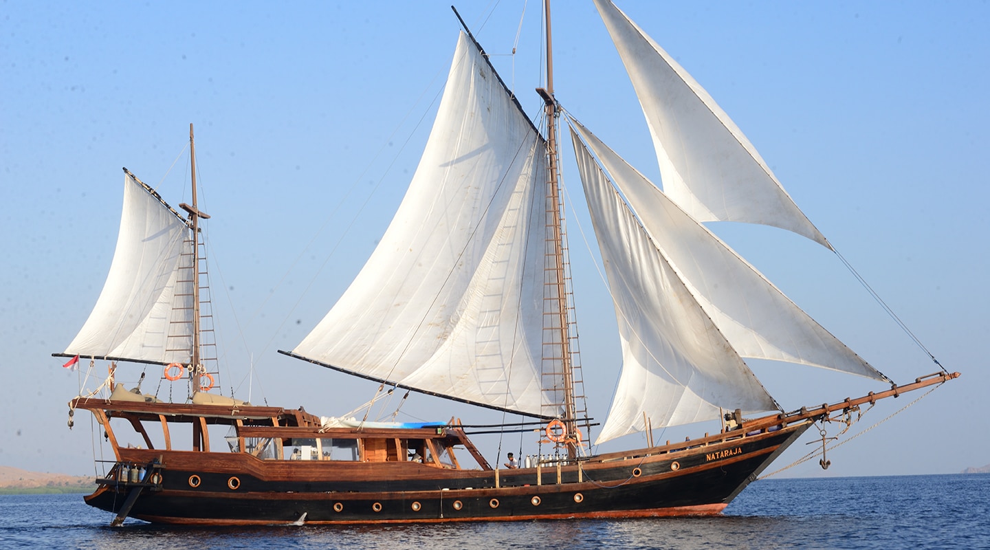 NATARAJA Sailing