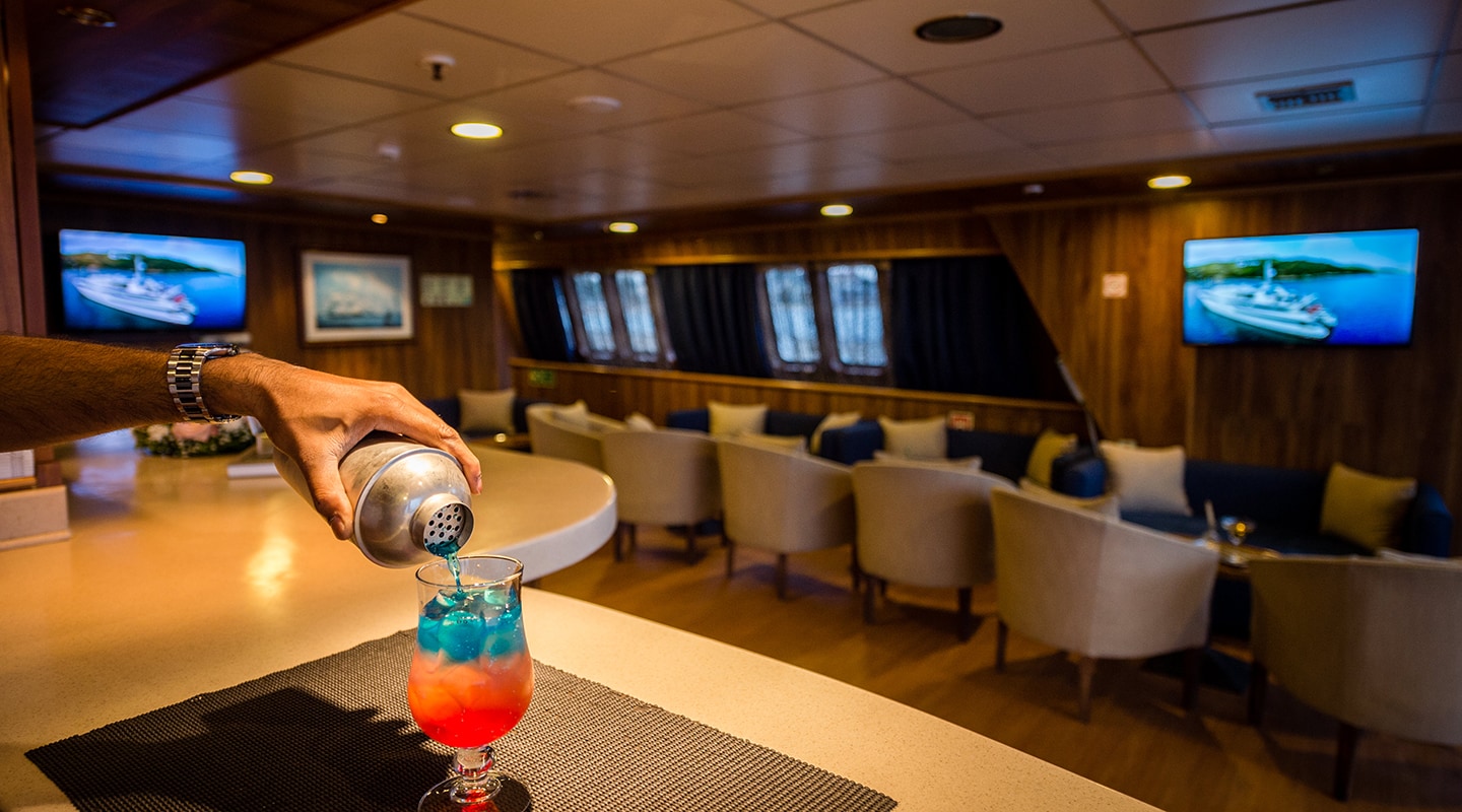 PANORAMA Saloon