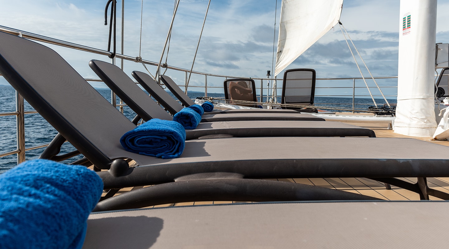 PANORAMA Sun loungers