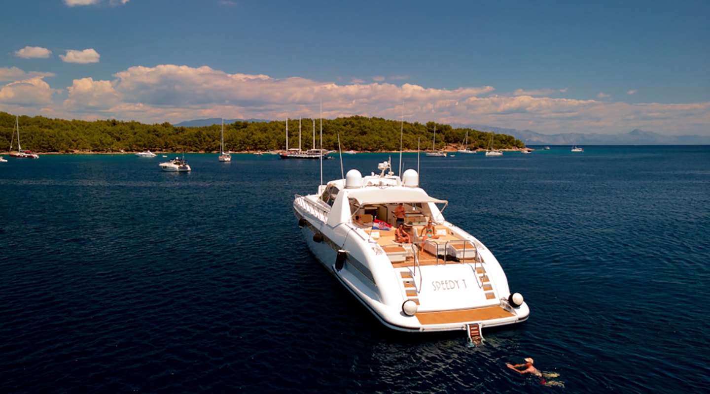 SPEEDY T Anchored