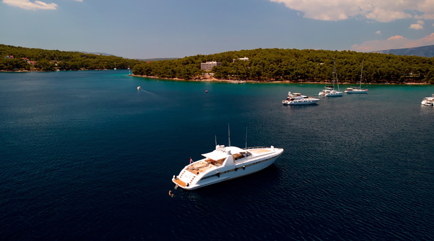 SPEEDY T Anchored