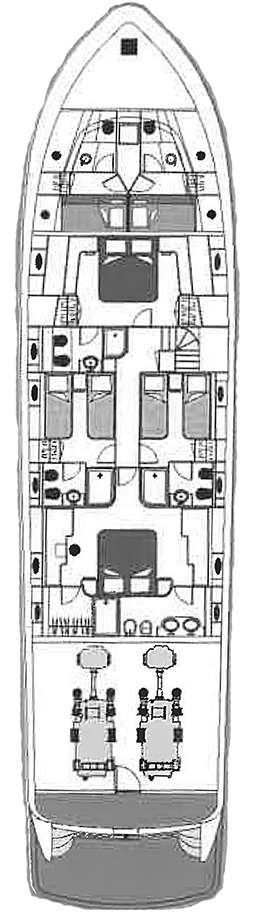 STAR LINK Layout