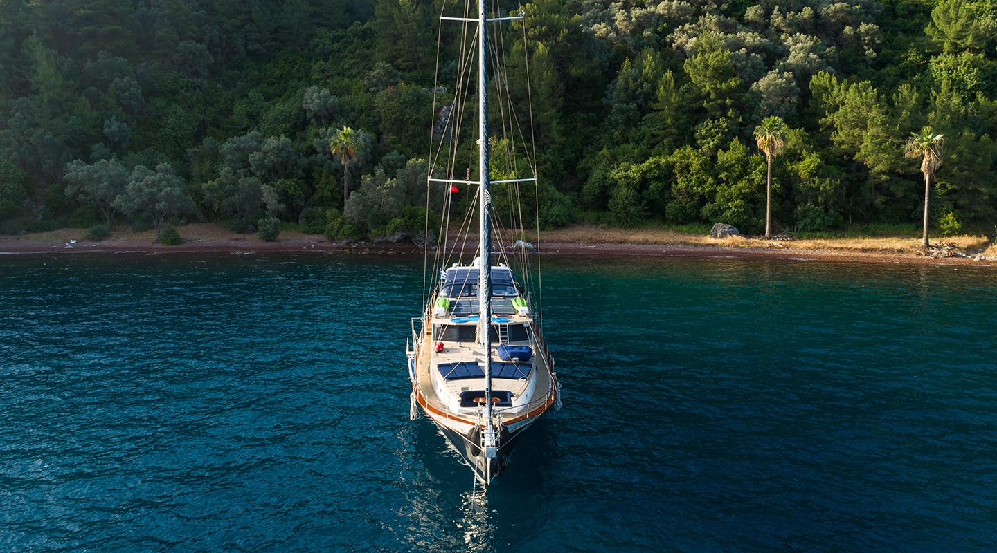 VIVA SHIRA Anchored