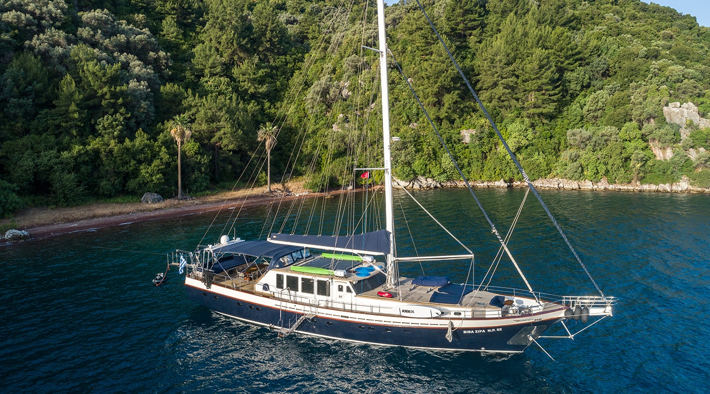 VIVA SHIRA Anchored