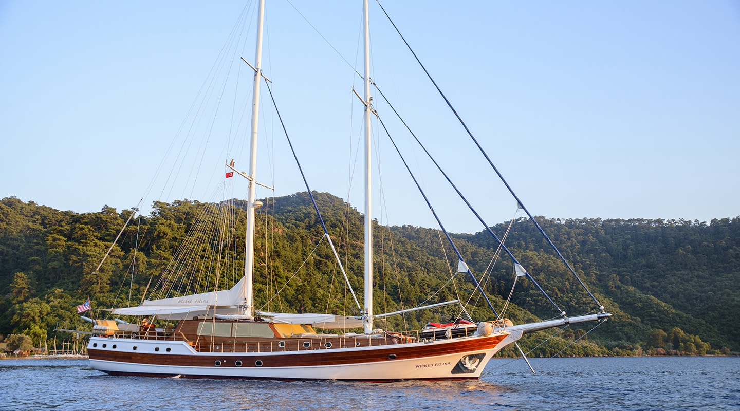 WICKED FELINA Anchored