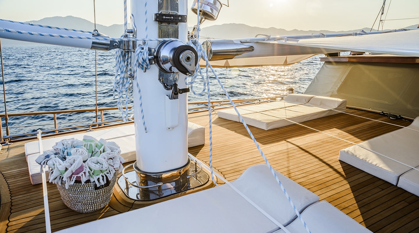 WICKED FELINA Sun deck
