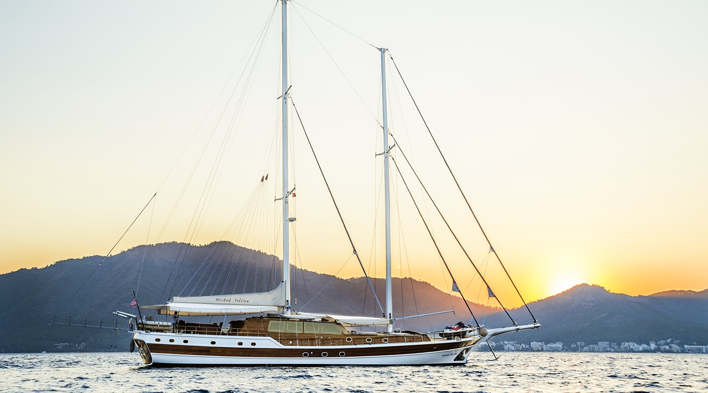 WICKED FELINA Sunset
