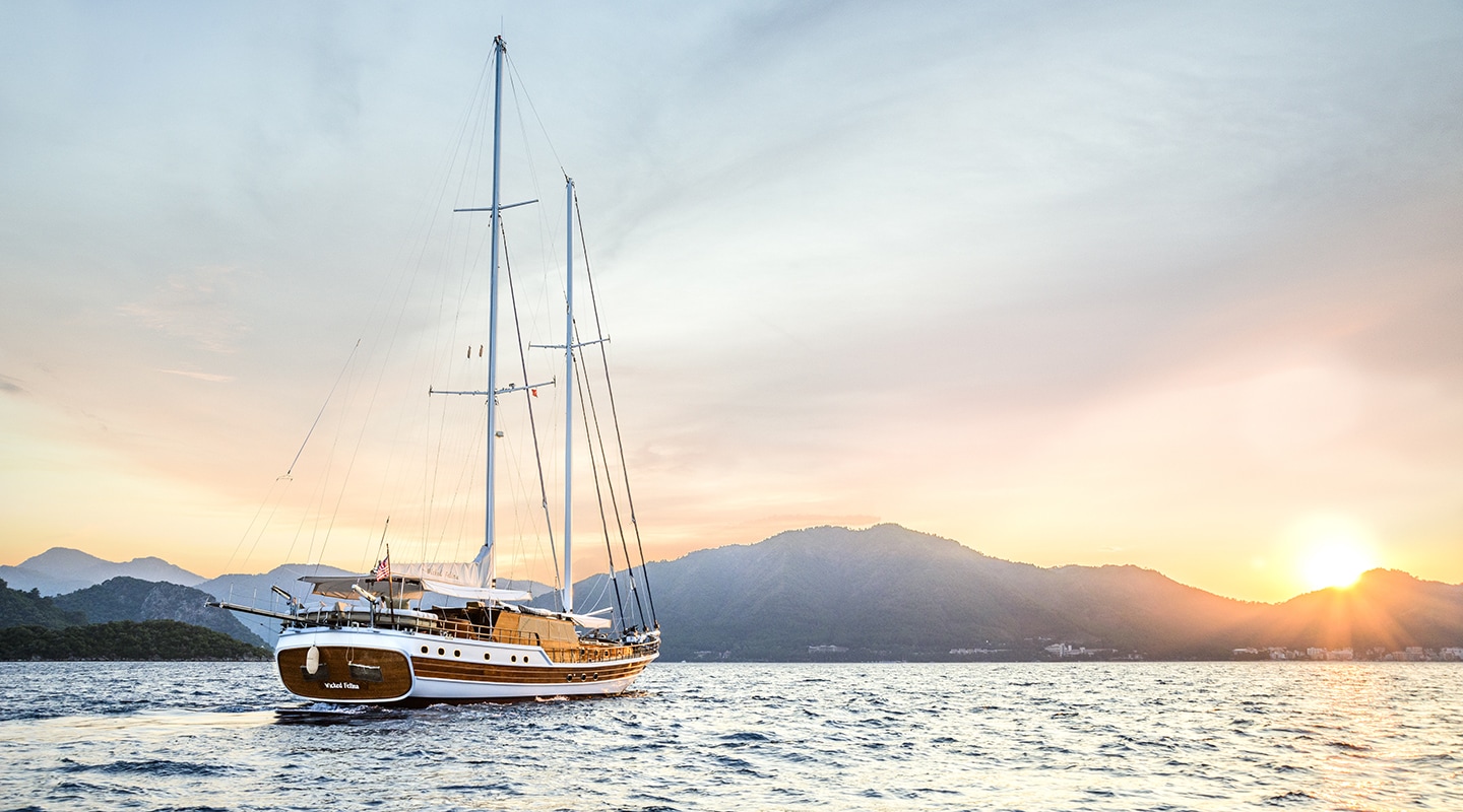 WICKED FELINA Sunset