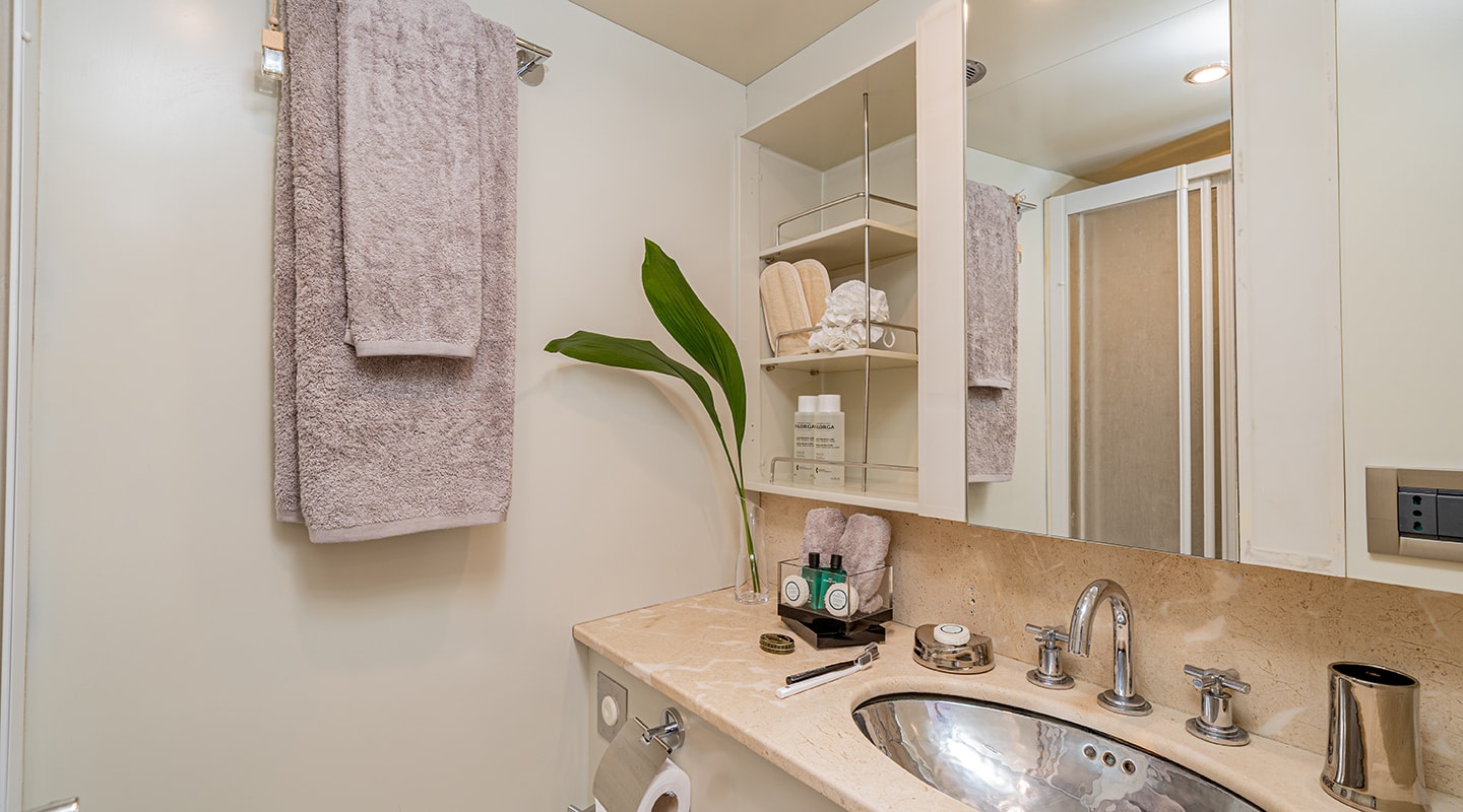 ASHLEYROSE 110 Bathroom
