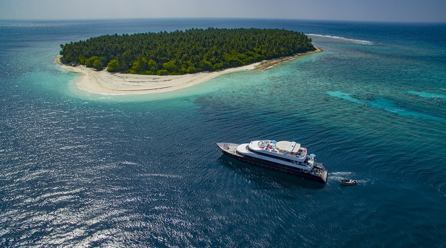 AZALEA Anchored