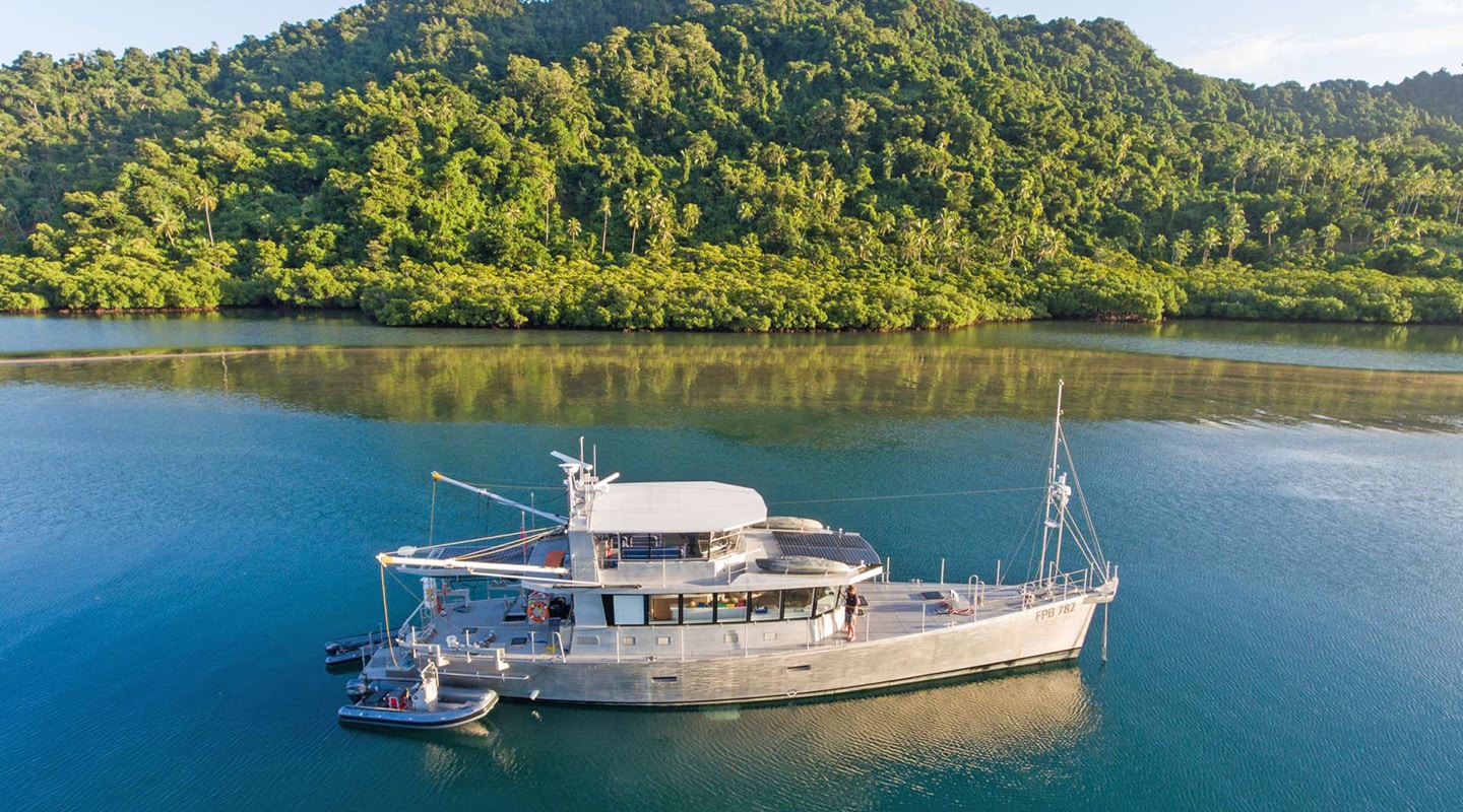 GREY WOLF Anchored