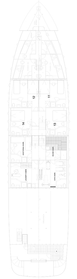 LUPUS MARE Layout