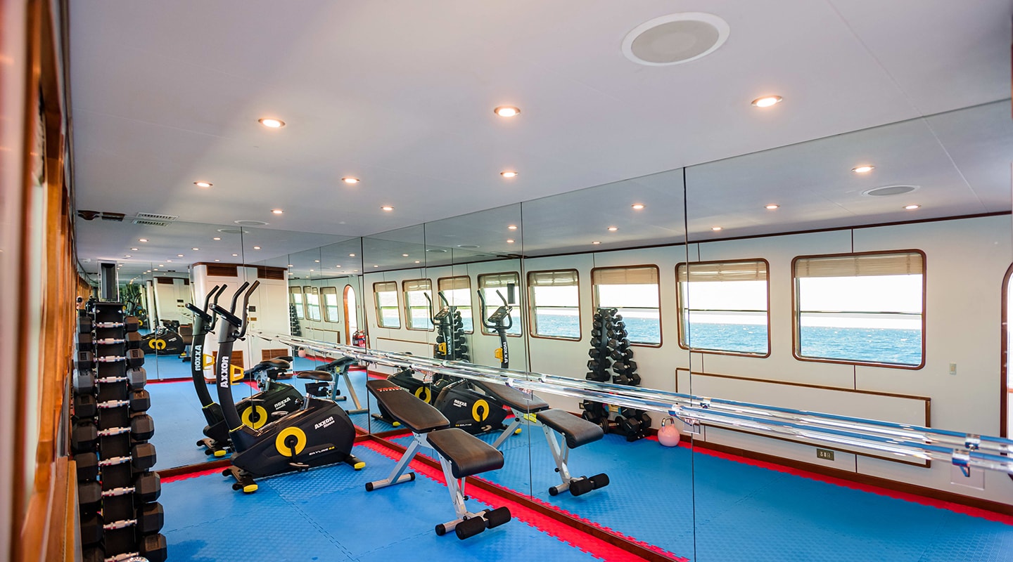 WIND OF FORTUNE Gym