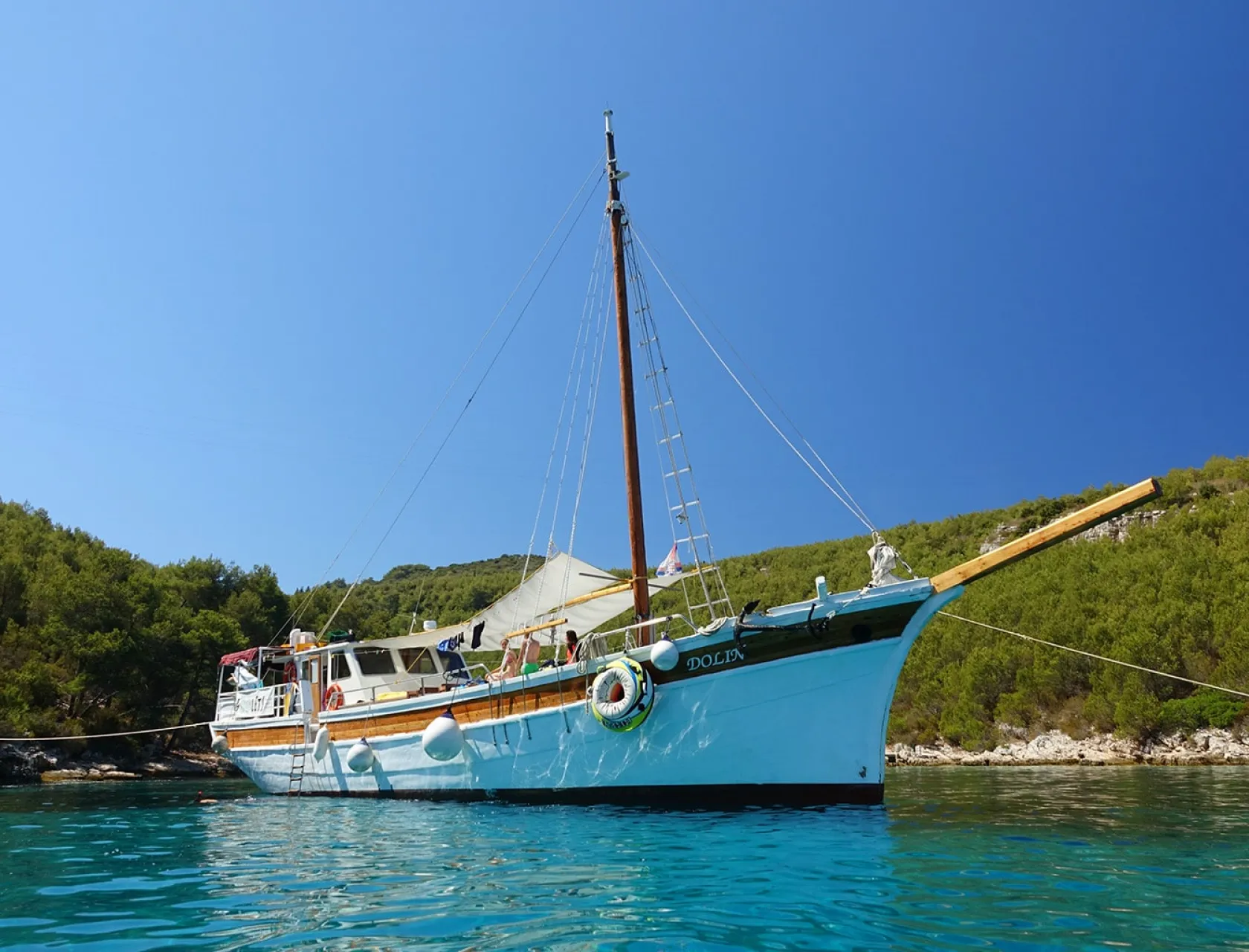 DOLIN Anchored