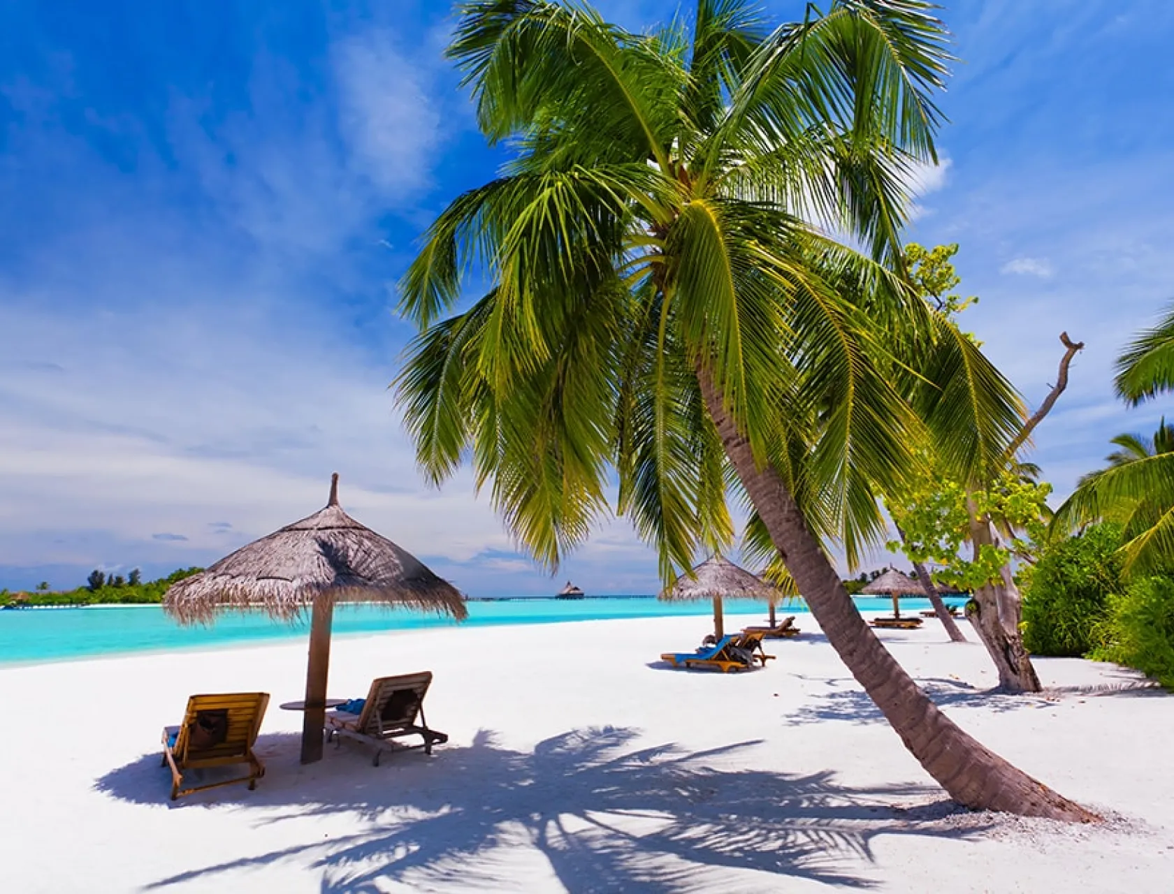 Deck-chairs-under-palm-trees-on-a-tropical-beach