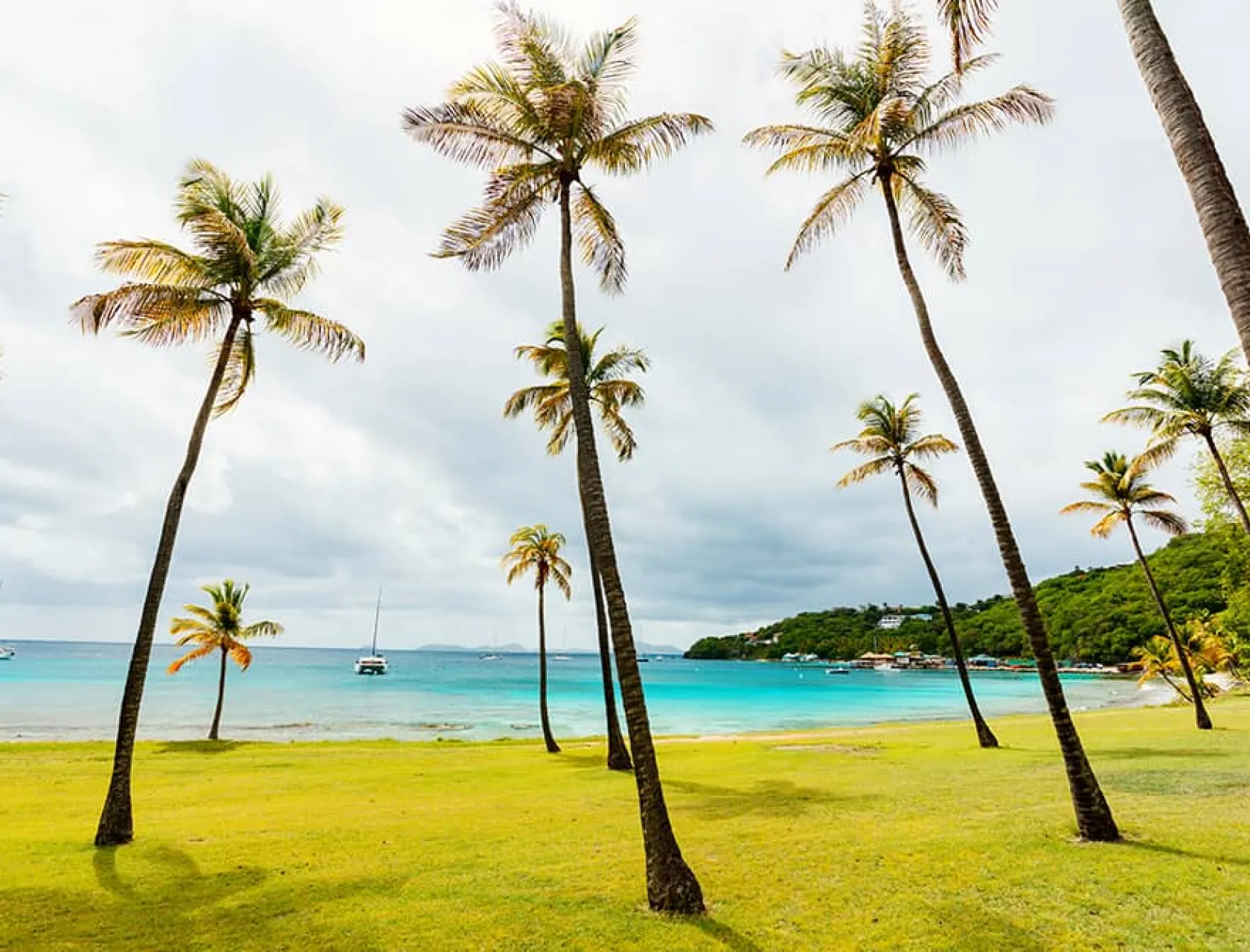 Idyllic-tropical-beach-with-white-sand-palm-trees-and-turquoise-Caribbean-sea-water-on-Mustique-island-in-St-Vincent-and-the-Grenadines