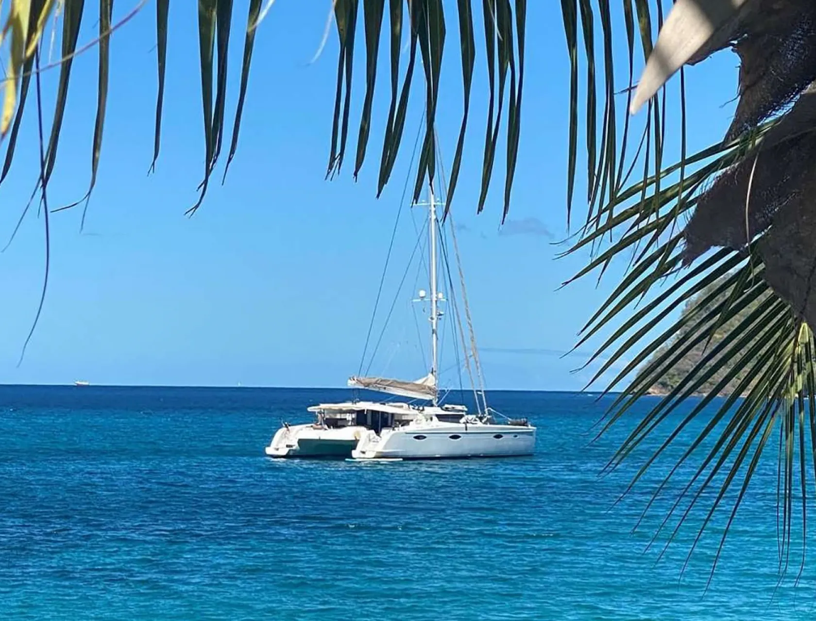 MOBY DICK Anchored