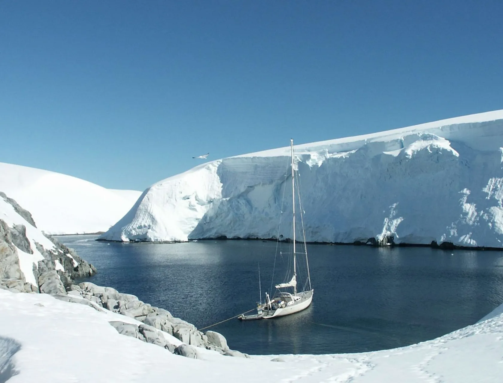 TANANA Anchored