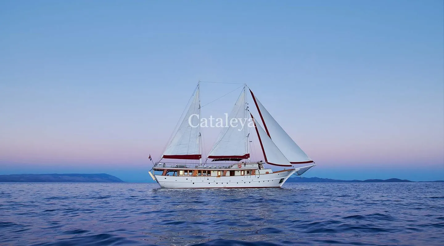 CATALEYA Sailing