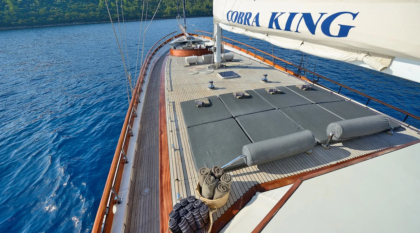 COBRA KING Sun deck