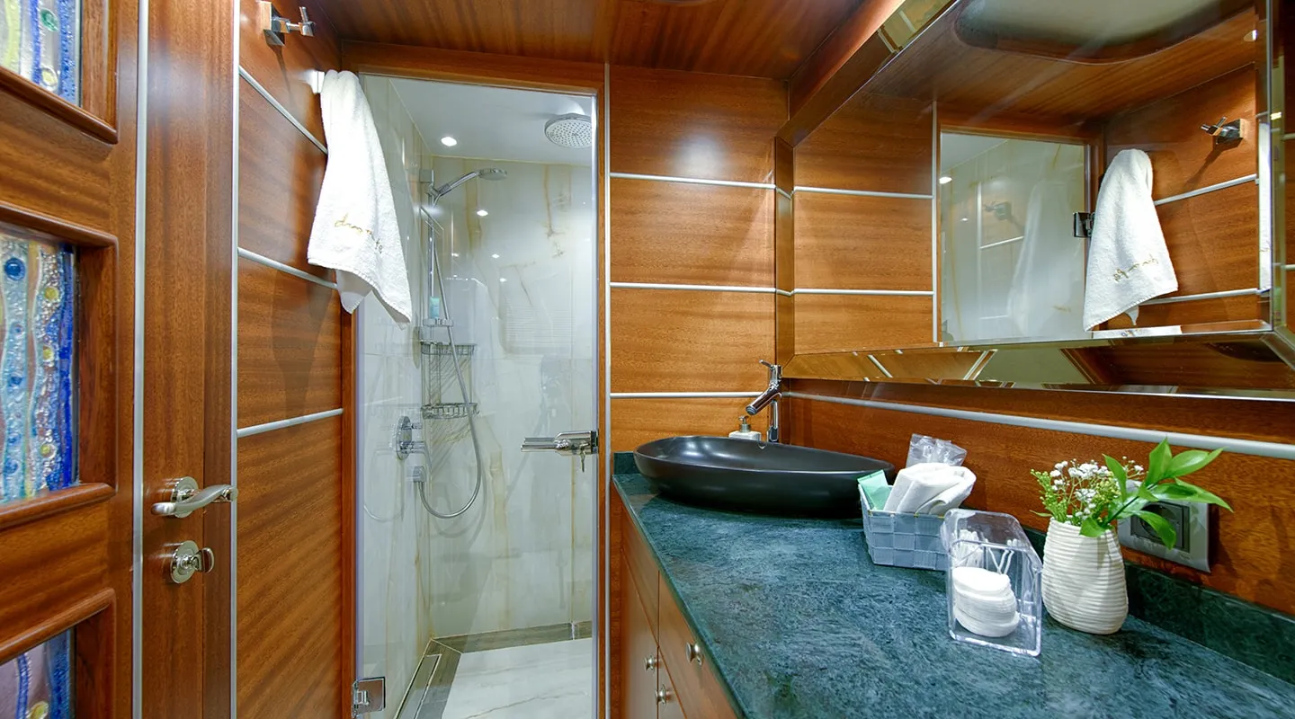 DRAGON FLY Bathroom